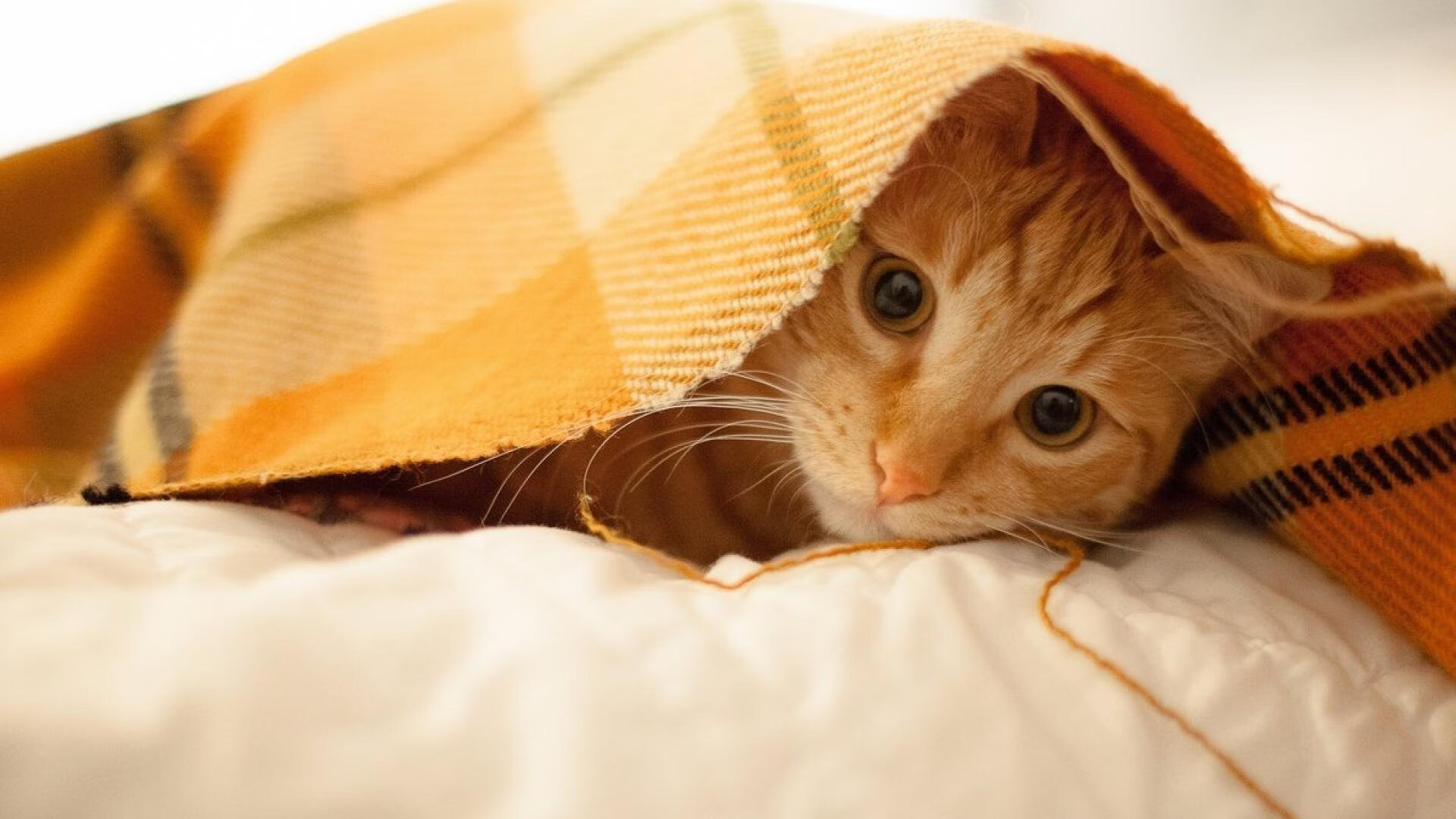 _儿童趣味运动广场:快乐成长的乐园_,儿童广场娱乐项目最火