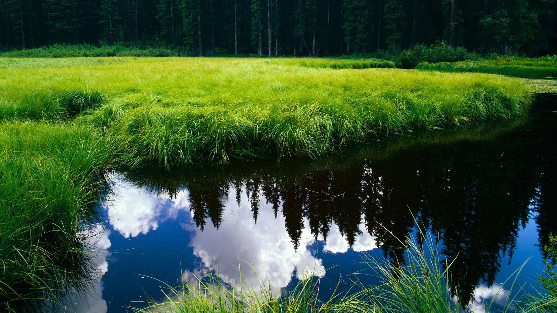 爱游戏体育app-_凯尔特人全场压制，稳步扩大领先优势_，凯尔特人前瞻