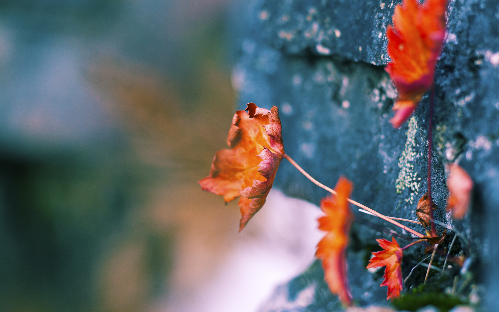 “直线冲刺：每秒都碰撞激情神经”