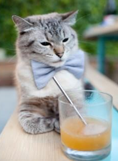 中国足球产业积极布局低碳绿色发展,打造“绿茵行业”新标杆,足球产业规模